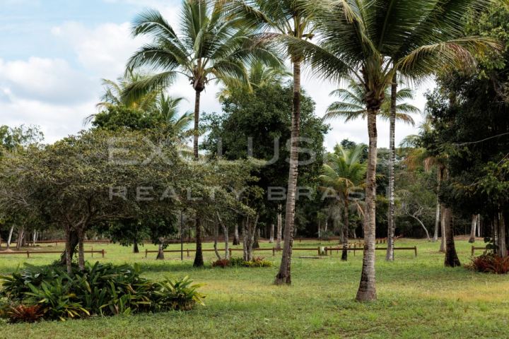 Plots at Estâncias Platô Sul, Reserva Trancoso (Fasano)