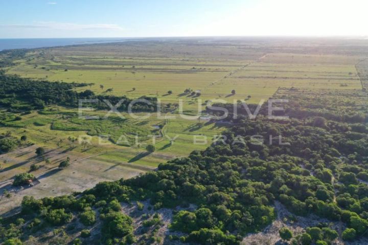110-hectare beachfront farm with 1.2 km of beach near Caravelas
