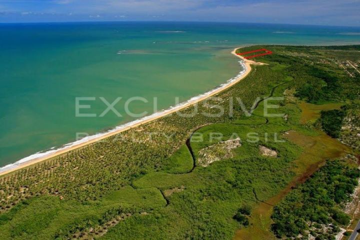 12-hectare beachfront coconut farm with 196 m of beach, Guaiú