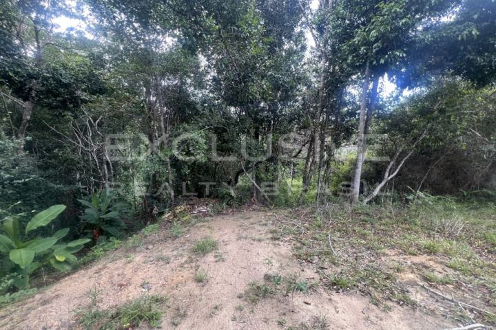 4,100 m² plot with forest views, João Vieira