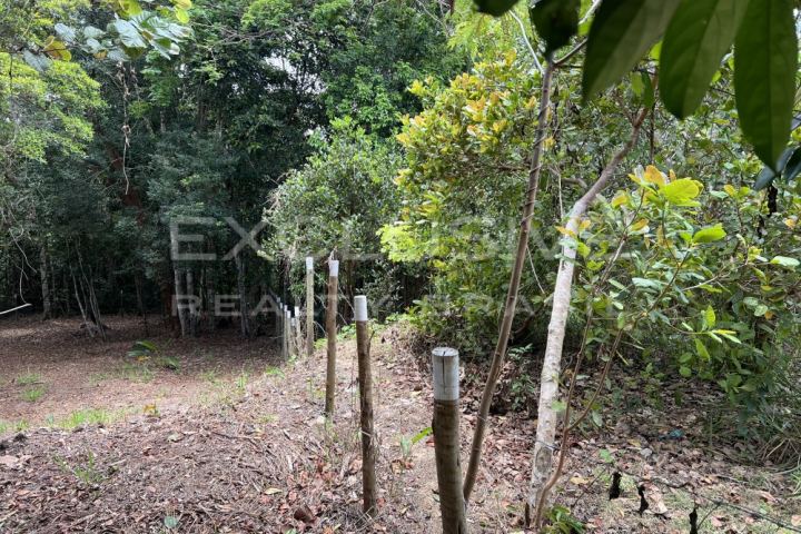 2,700 m² plot with forest views, João Vieira
