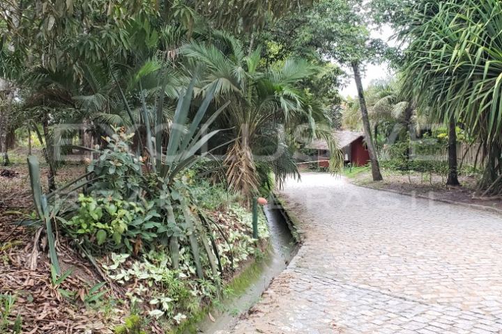 First-line sea-view plot in the Pedro Grande community
